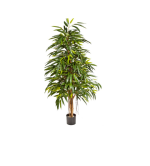 Augalas Deluxe longifolia liana 150 cm
