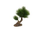 Dirbtinis mini bonsai iš pušų | Pinus miniatiūra