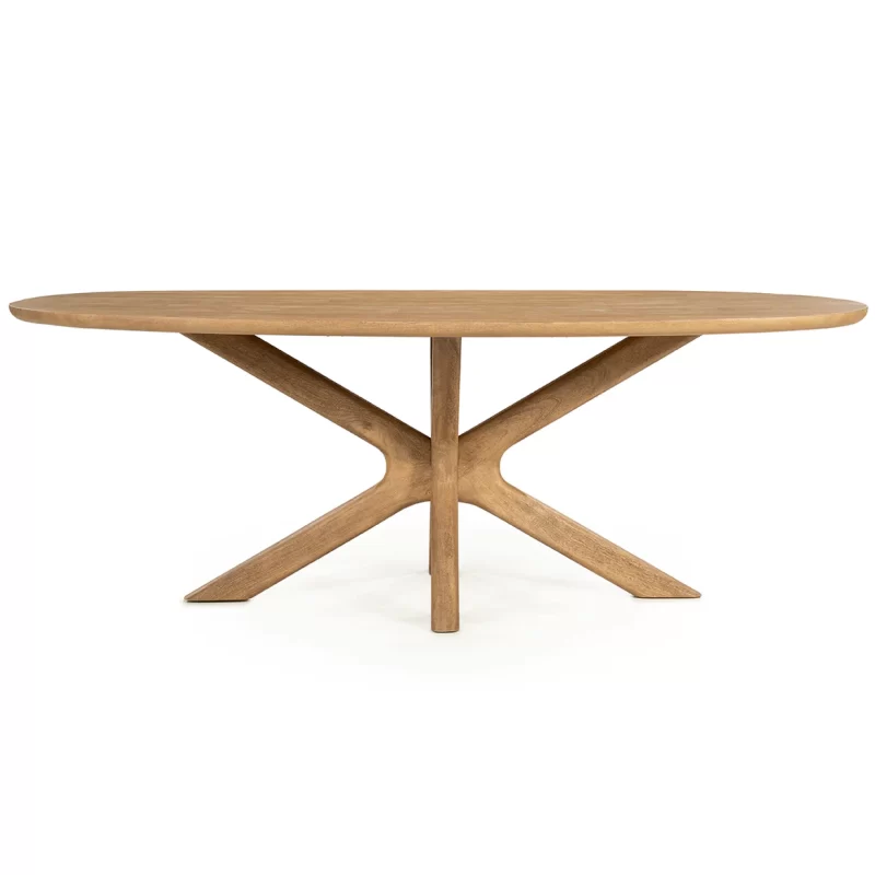 Eleonora-Tycho-Mango-Wood-Oval-Dining-Table-96548