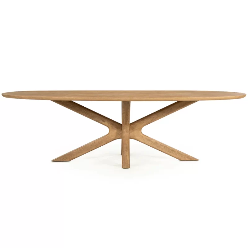 Eleonora-Tycho-Mango-Wood-Oval-Dining-Table-96550